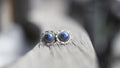 Blue Sodalite Earrings Sterling Silver Flower Studs, Southwest Boho Native American Jewelry, Elk Creek