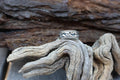 Kokopelli band Sterling Silver Southwest Band Ring Signed Size 6.5